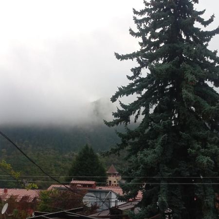 House Lia Otel Borjomi Dış mekan fotoğraf