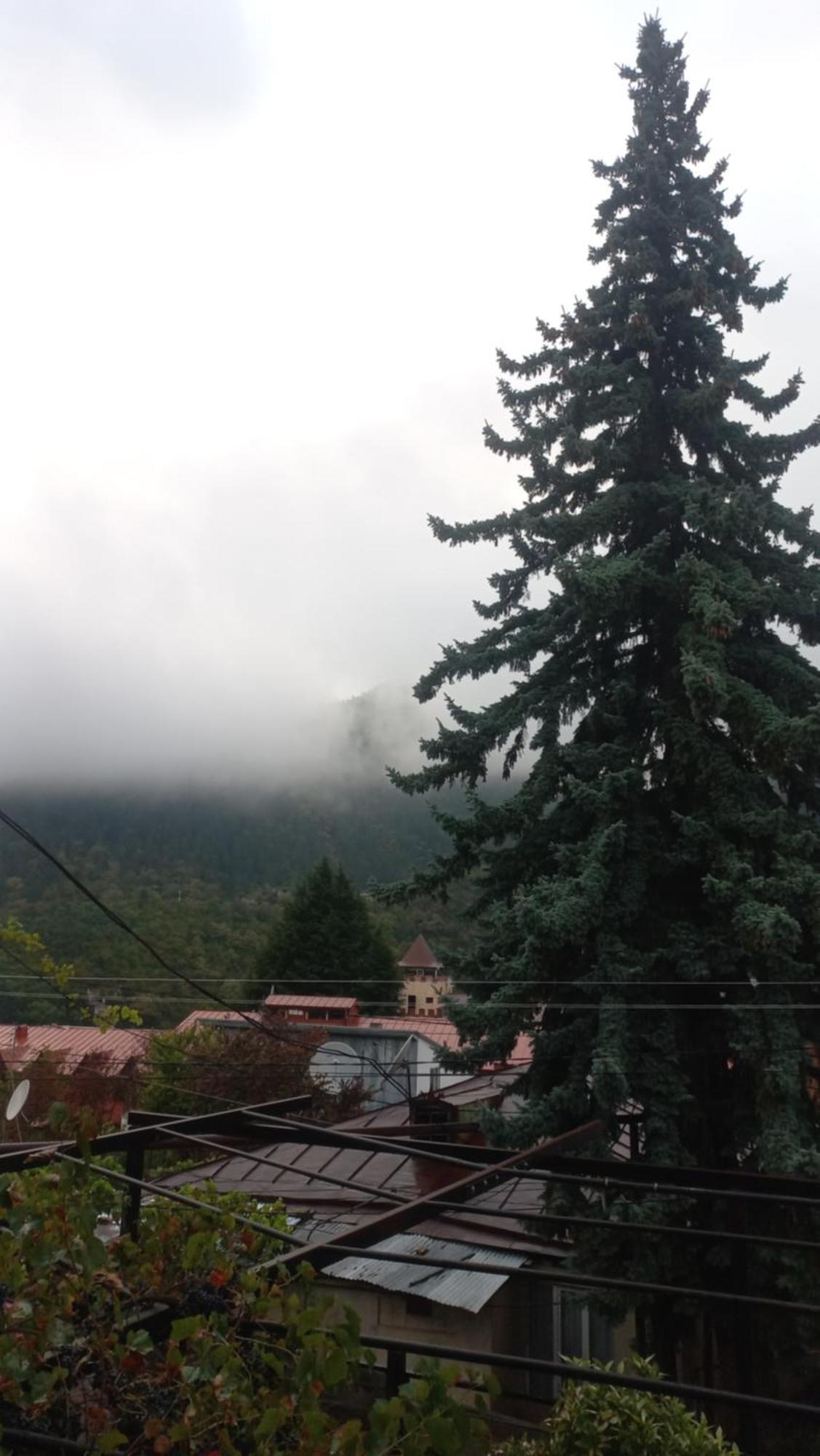 House Lia Otel Borjomi Dış mekan fotoğraf