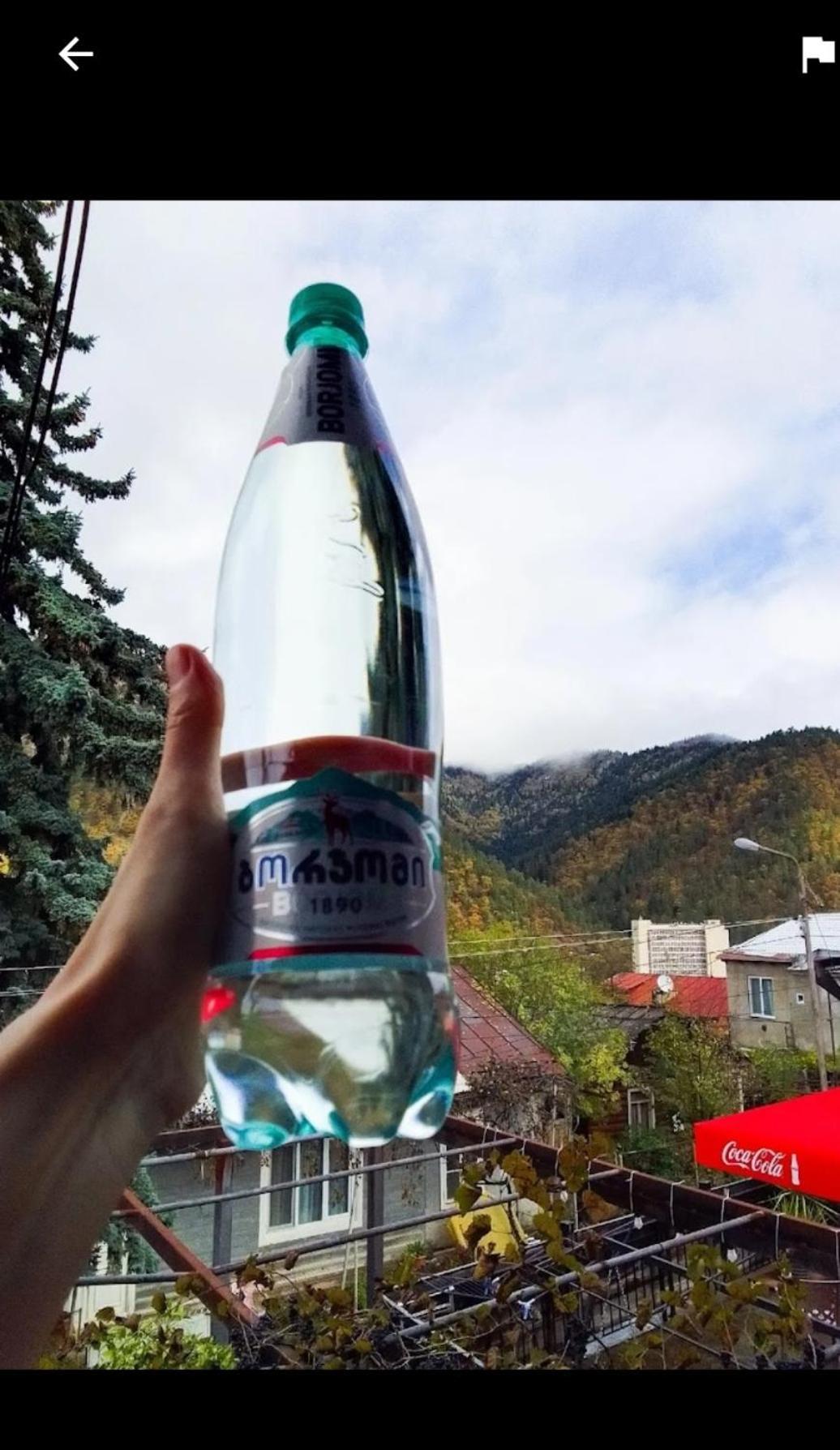 House Lia Otel Borjomi Dış mekan fotoğraf