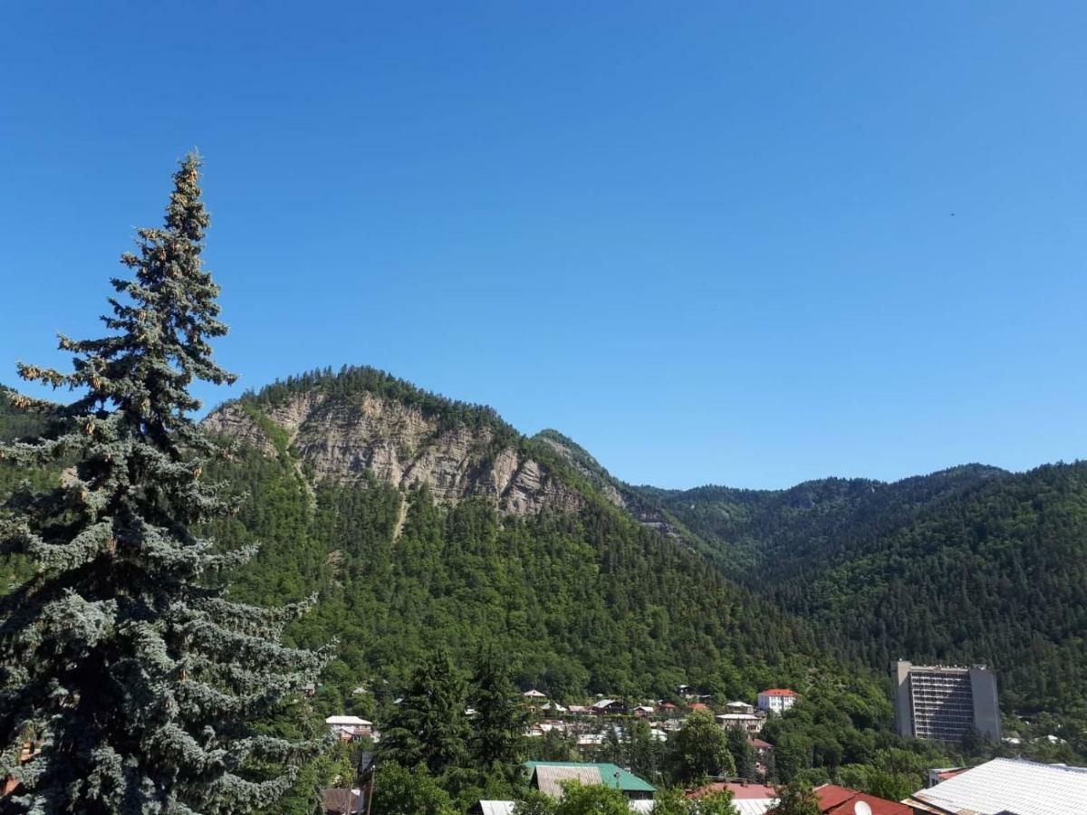 House Lia Otel Borjomi Dış mekan fotoğraf